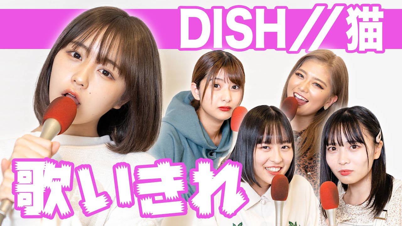 猫 / DISH//をみんなで被らずに歌いきれるか挑戦！なえなの/8467/横田未来/いかみりん（超十代）【歌ってみた？】