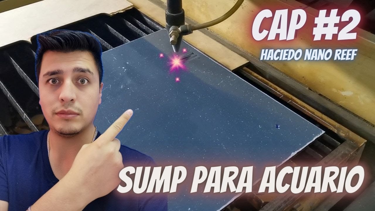 CAP : 2 / SUMP INTERNO PARA ACUARIO MARINO / HACIENDO ACUARIO MARINO DESDE  '' 0 