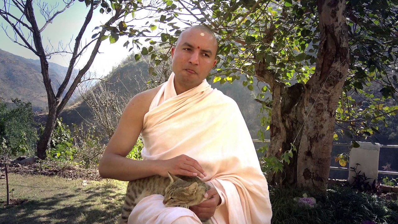 Alertness in Good Meditation - Om Swami