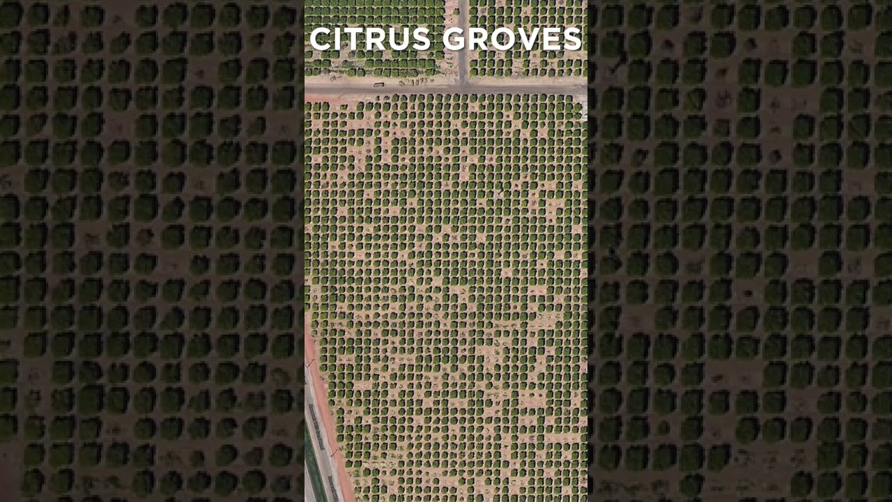Surprising Luxury in Mesa Arizona - Citrus Groves, Las Sendas, Eastmark