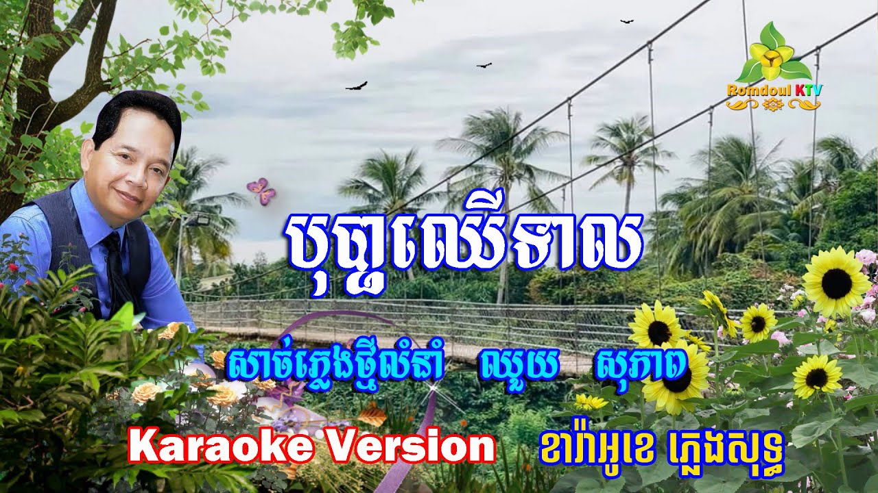បុប្ផាឈើទាល ភ្លេងសុទ្ទ ឈួយ សុភាព - Bopha Chher Teal Karaoke Pleng Sot - Romdoul KTV