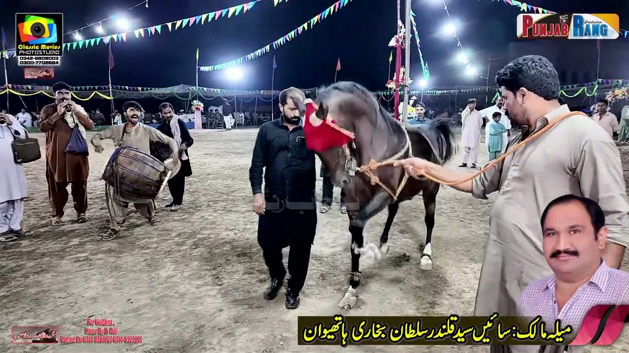 Horse Dance l Sajan l Alward l 16 October 2024 Meerik Sial Shorkot