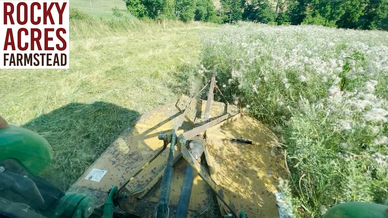 Brushing Hogging with the John Deere 5125M! Summer 2022!