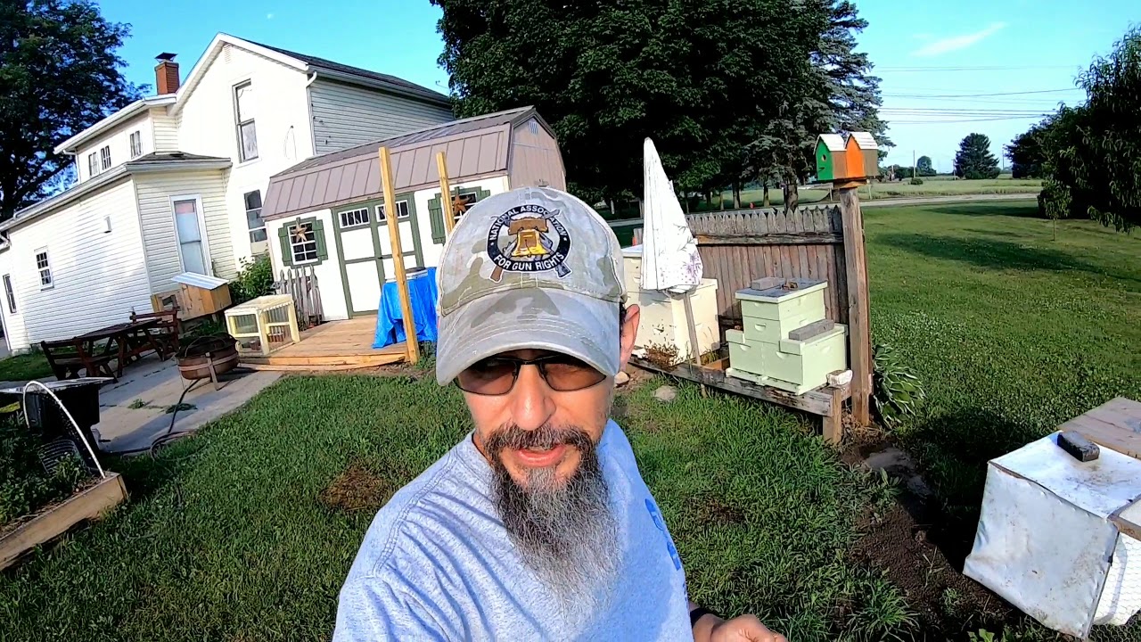 Welcome to my journey of Urban homesteading!