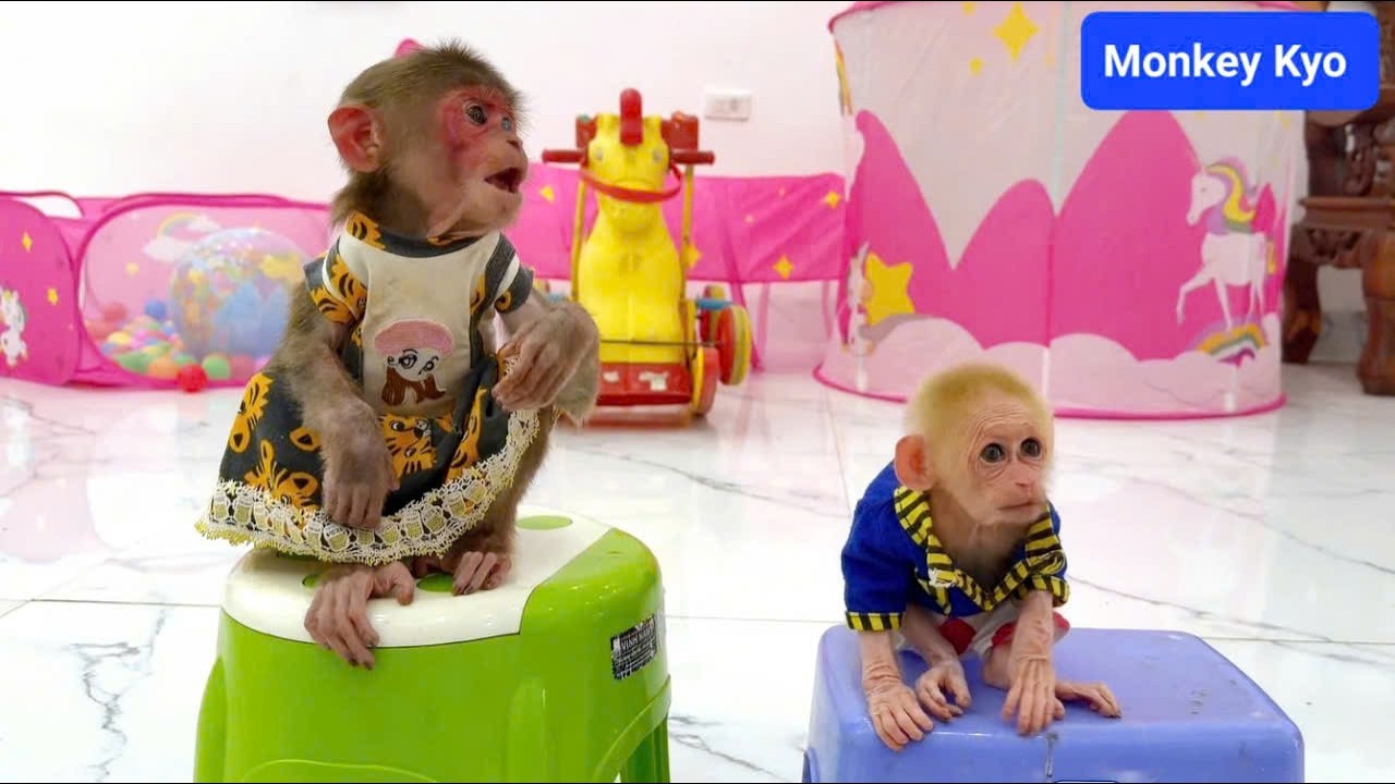 Kyo skillfully helps BuNa learn independent playing skills!