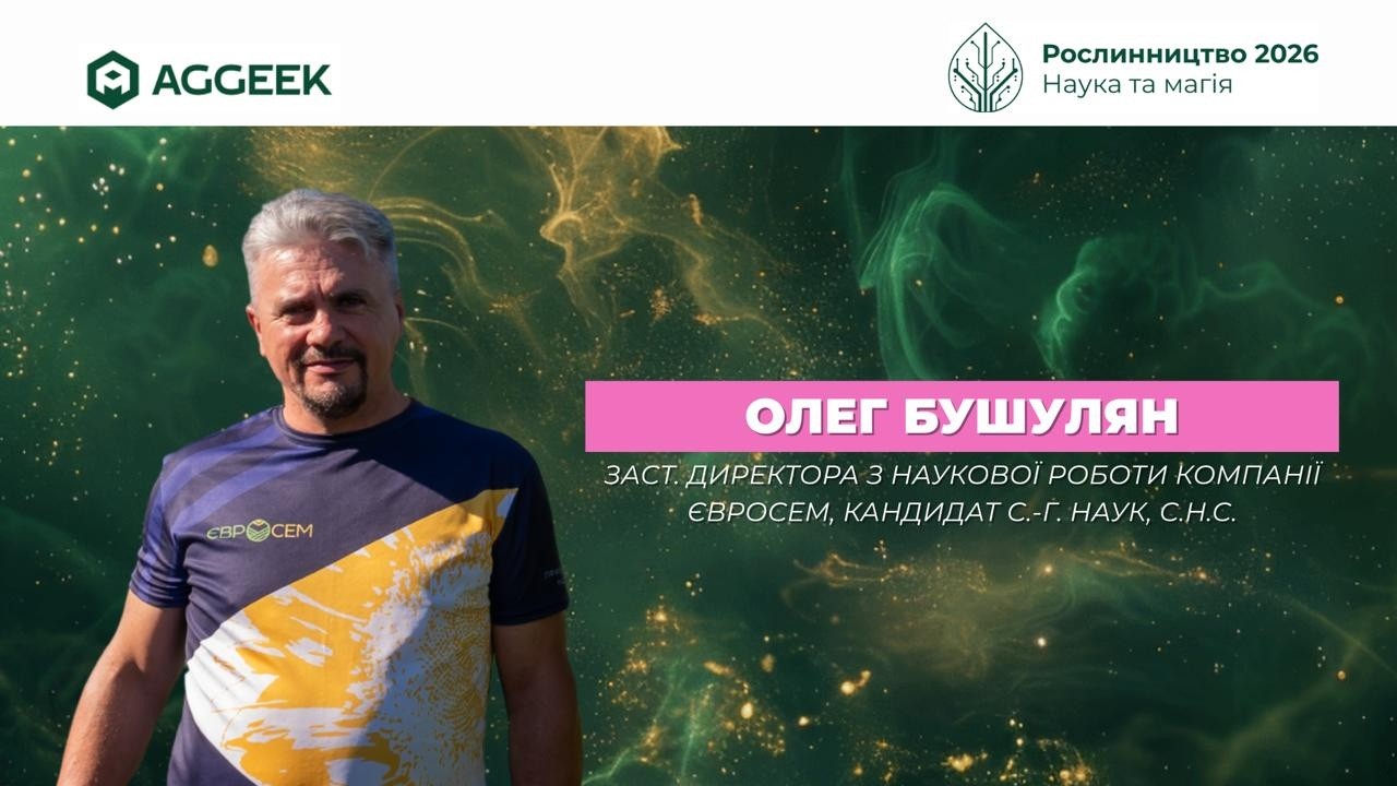 З чим вносити Express, щоб не попасти?