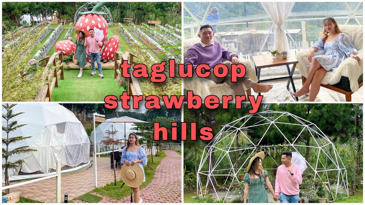 TAGLUCOP STRAWBERRY HILLS | GLAMPING IN BUKIDNON | TRAVEL VLOG |