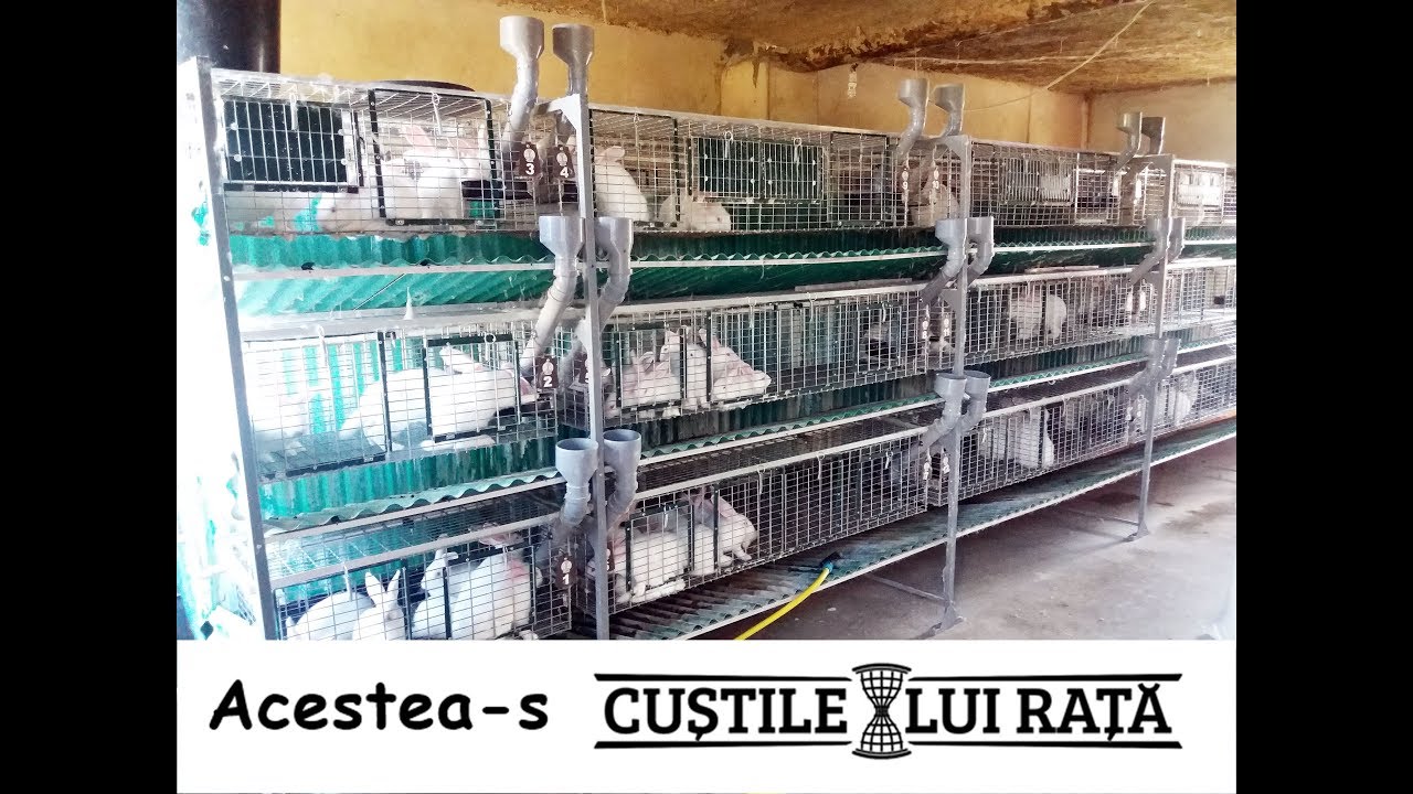 Custile lui Rata ii aduc succes și lui Stanislav Sirghi, s. Ivanovca! 11.03.2016