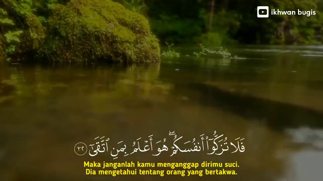 Surah An Najm - Ustadz Abu Usamah