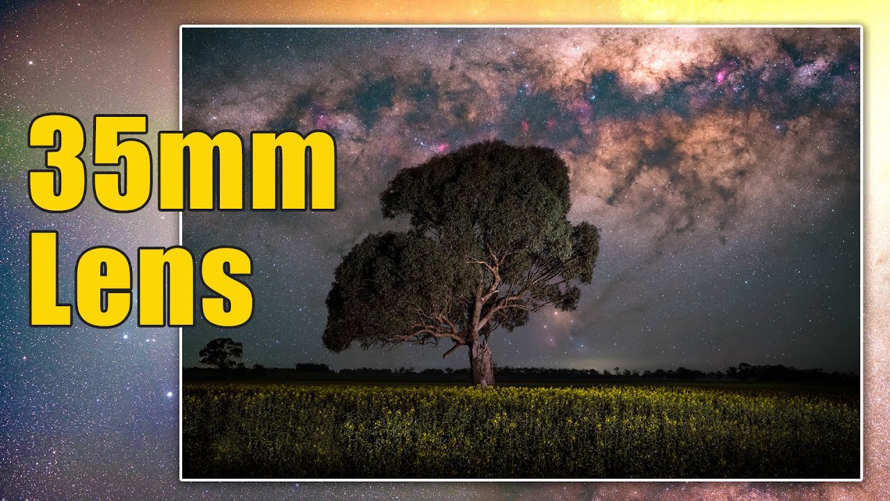 Milky Way Canola Tree using 35mm Lens