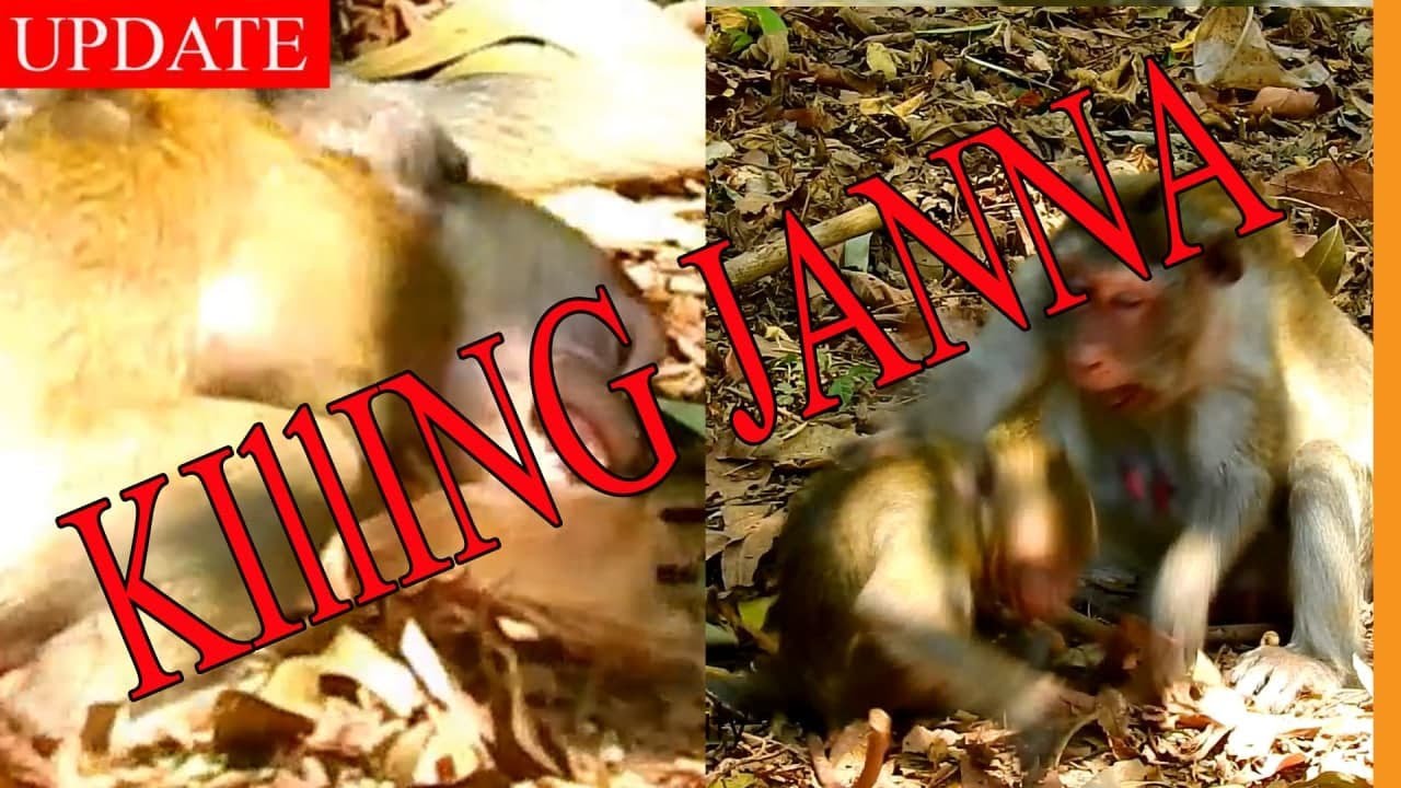GOODBYE World ... Jane Almost K-I-L-L Janna Alive With Her Attack Weaning