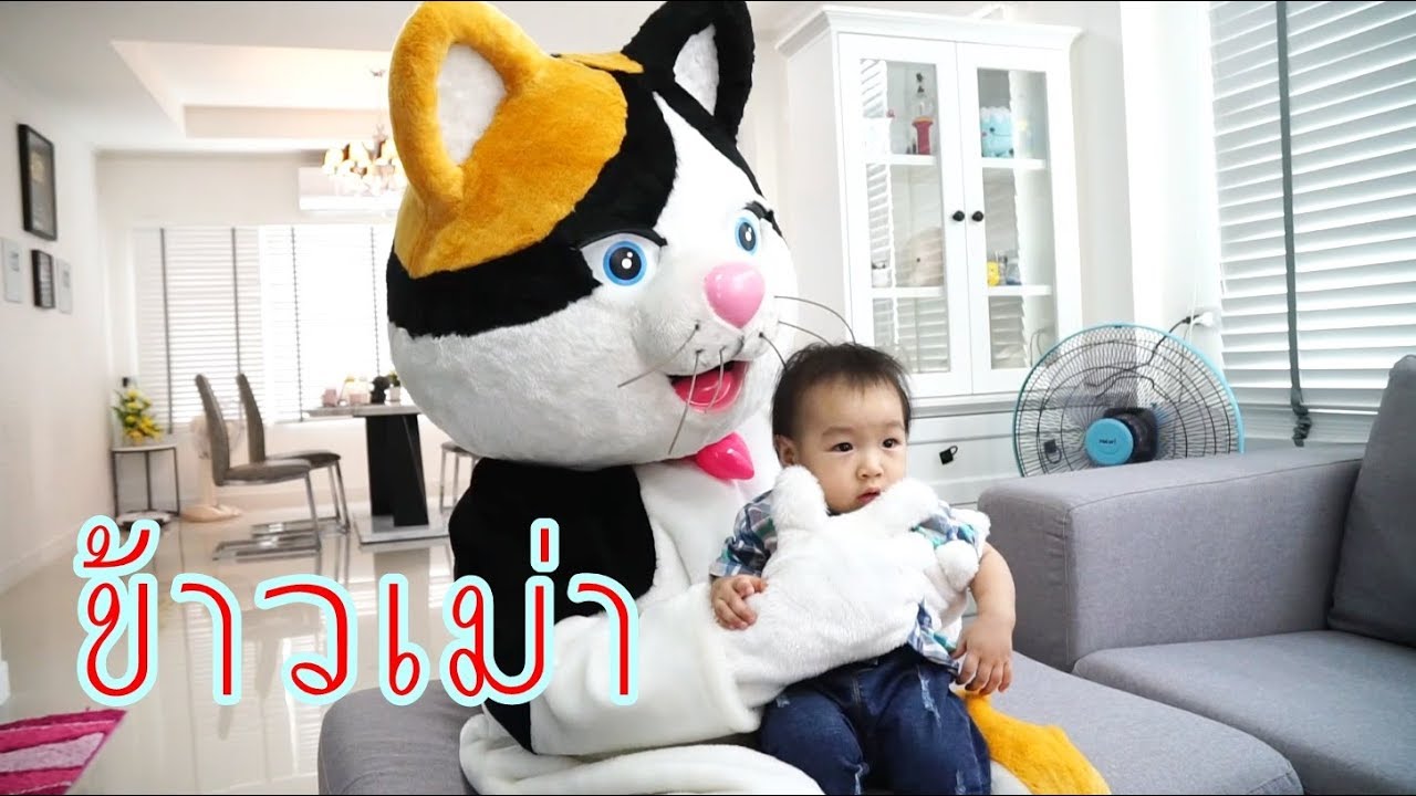 ข้าวเม่าแมวยักษ์ ละครสั้นรวมมิตร !!! น้องดาว