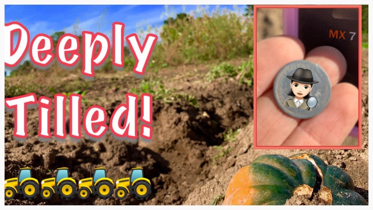 Why you should metal detect a tilled garden for old coins & relics!