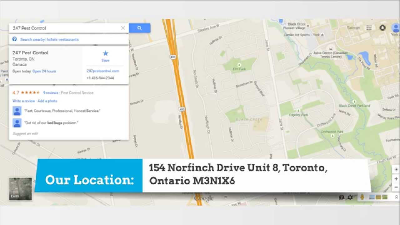Animal Control Toronto | 247 Pest Control