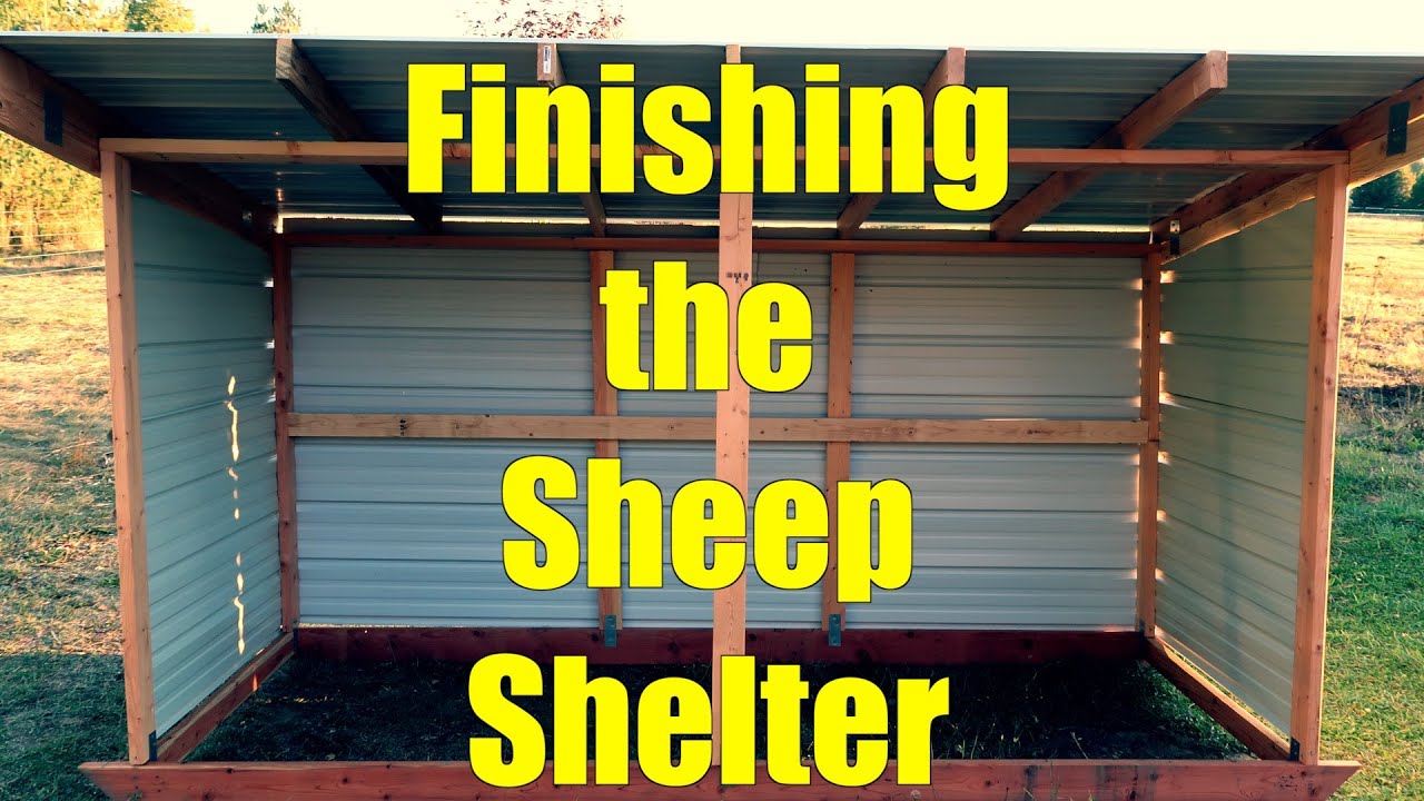 Finishing the Sheep Shelter (for now)