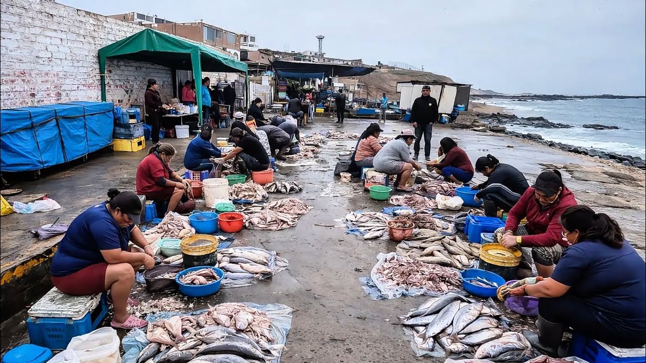 Explorando el PUERTO pesquero en el Norte Chico CHANCAY 🇵🇪