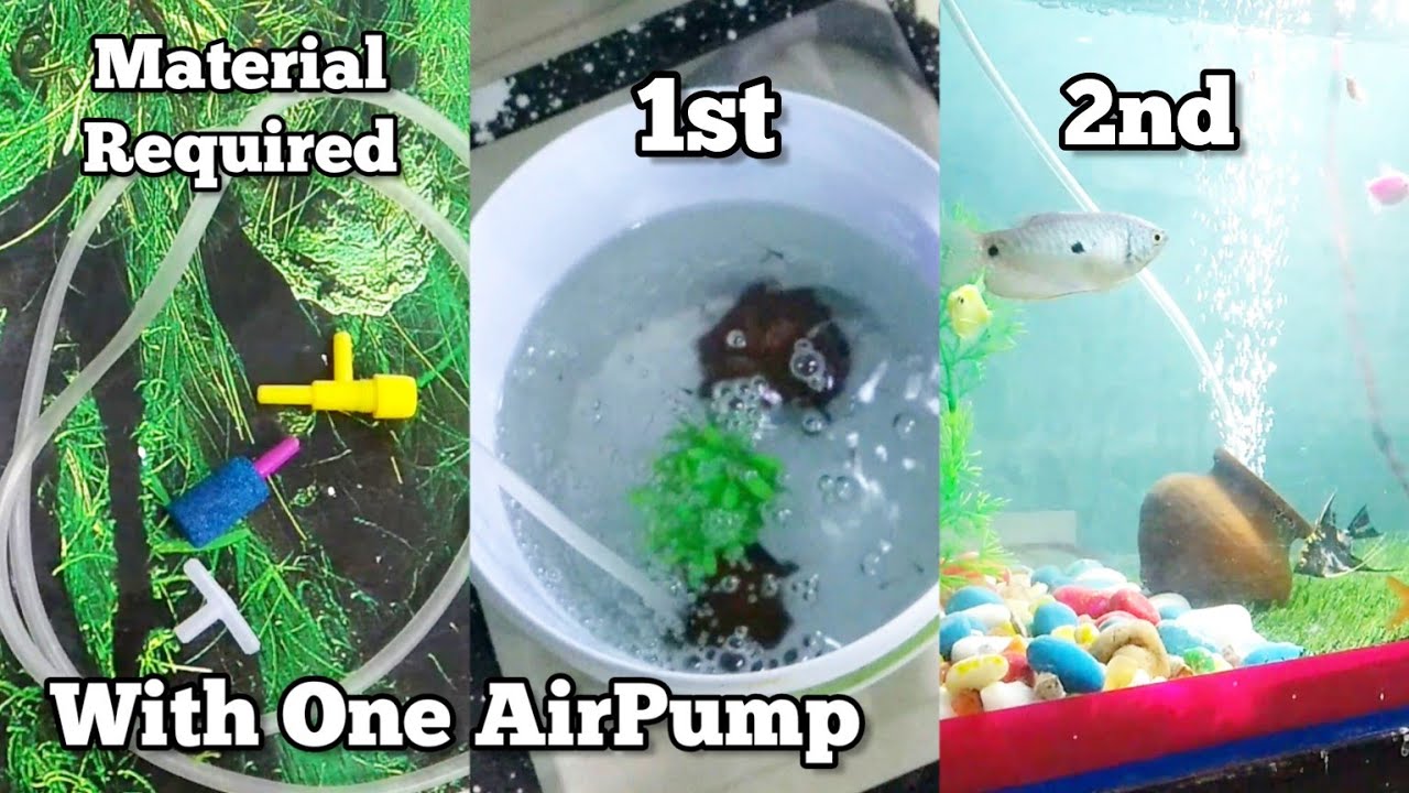 DIY How To Use One Pump For Two Tanks | Multiple Air Bubble Stone With One Air Pump | BeWithSarfaraz