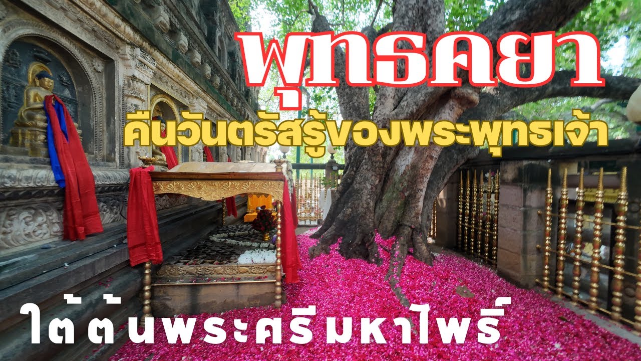 พุทธคยา คืนแห่งการตรัสรู้ ภายใต้ต้นพระศรีมหาโพธิ์
