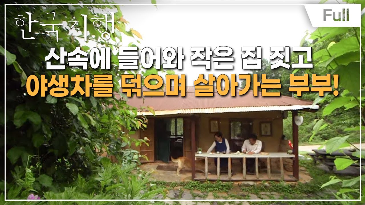 [Full] 한국기행 - 심심산골 심심해서 좋아 제3부 숲속의 작은 점방
