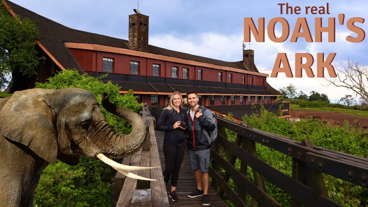 The Ark Lodge 🐘 / Лучший отель в Кении / Национальный парк Абердэр