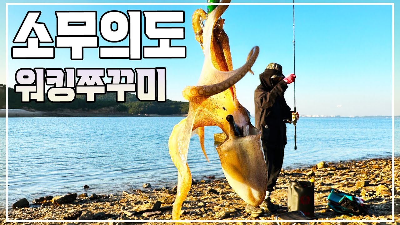 소무의도 워킹 쭈꾸미 낚시ㅣ무의도ㅣ몽여해변ㅣ명사의해변ㅣ1물ㅣ🎣🏝Fishing in So-Muuido