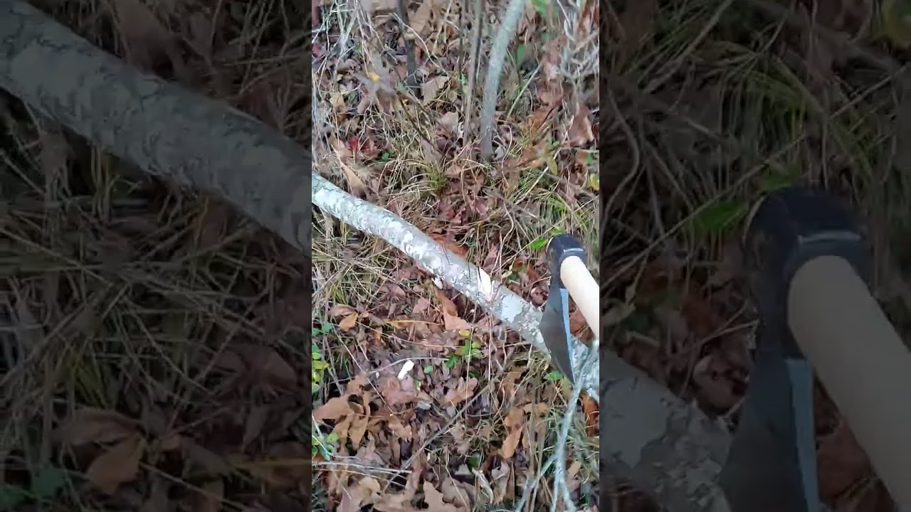 Prandi Trentin Axe