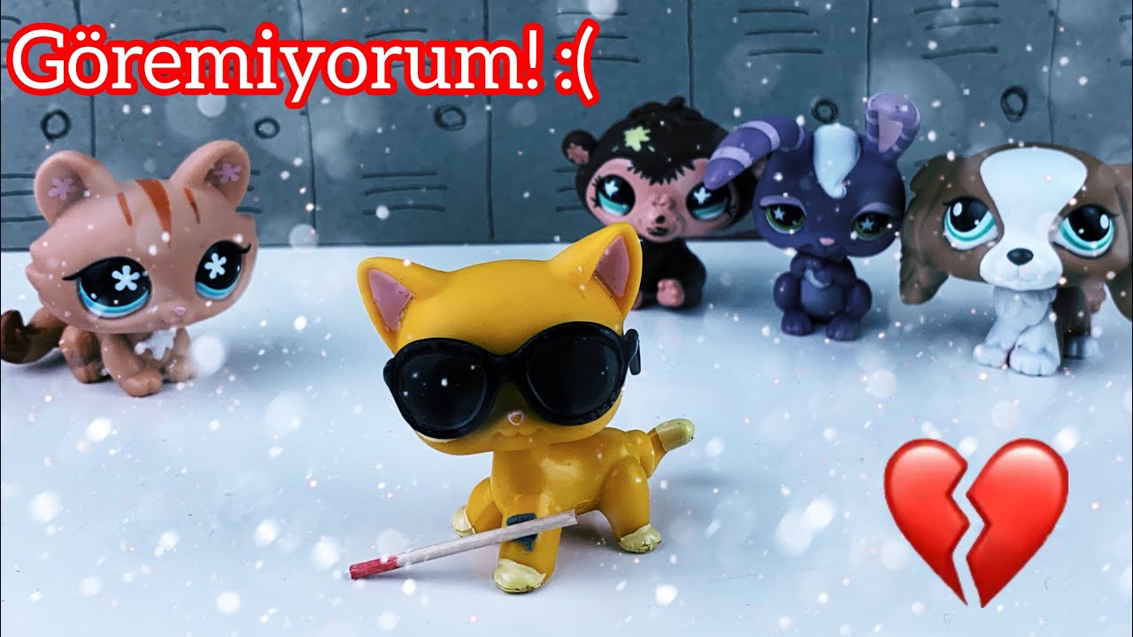 Питомцы: Слепой питомец :( !!