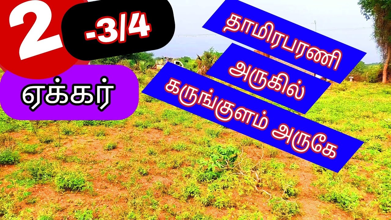 திருச்செந்தூர்ஹைவே கருங்குளம்அருகே 2.3/4 ஏக்கர்செம்மண்நிலம்-2401-026.02.12