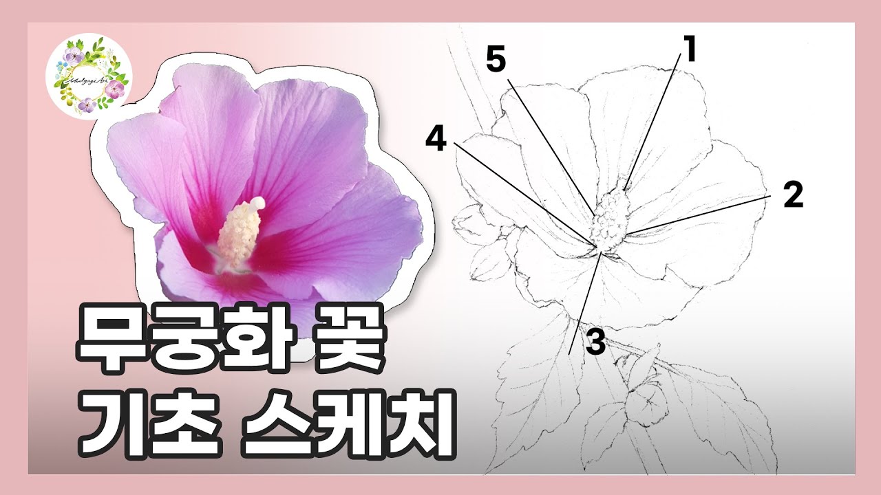 오늘은 수채화 스케치 시간 ✏ 무궁화 그리기 sketch 물고기아트