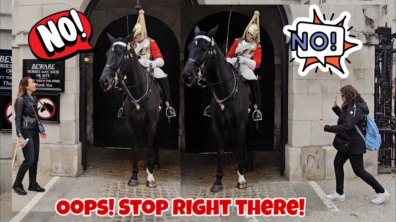 King’s Guard INSTANTLY Stopped Tourist not To enter the white Box. Royal Guard, Kings Guard.