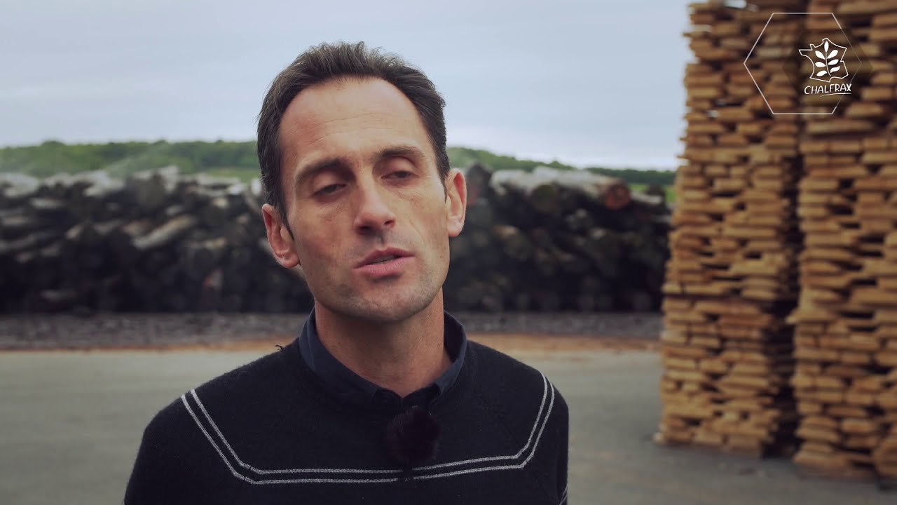 Le frêne, un enjeu économique déterminant face à la chalarose - Reportage WebTV CHALFRAX 4/4