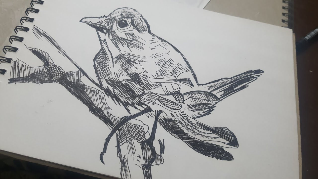 Make The Best Pen Art || Sparrow Bird Pen Sketching Tutorial @craftersagar