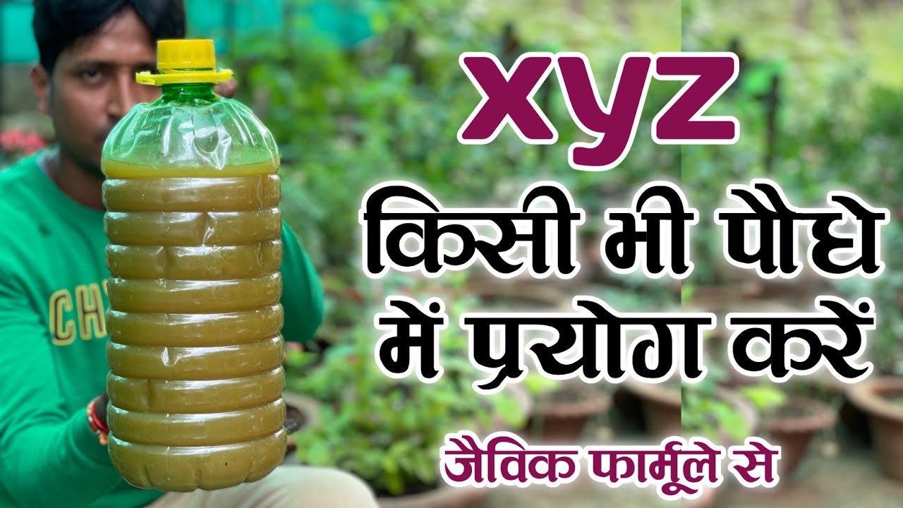सभी पौधे के लिए एक ही खाद | फ्री में बनाया पावरफुल ह्यूमिक एसिड | All in One Fertilizer
