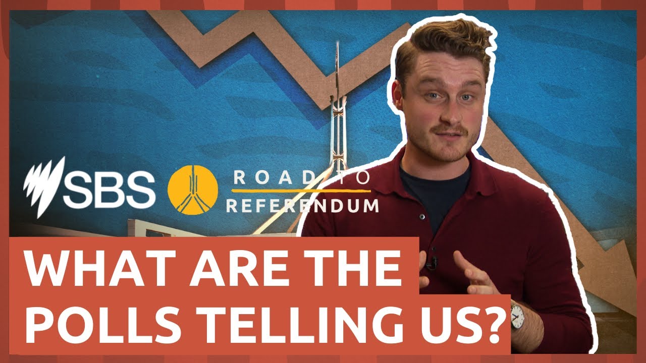 Voice referendum polls: what you need to know | SBS News