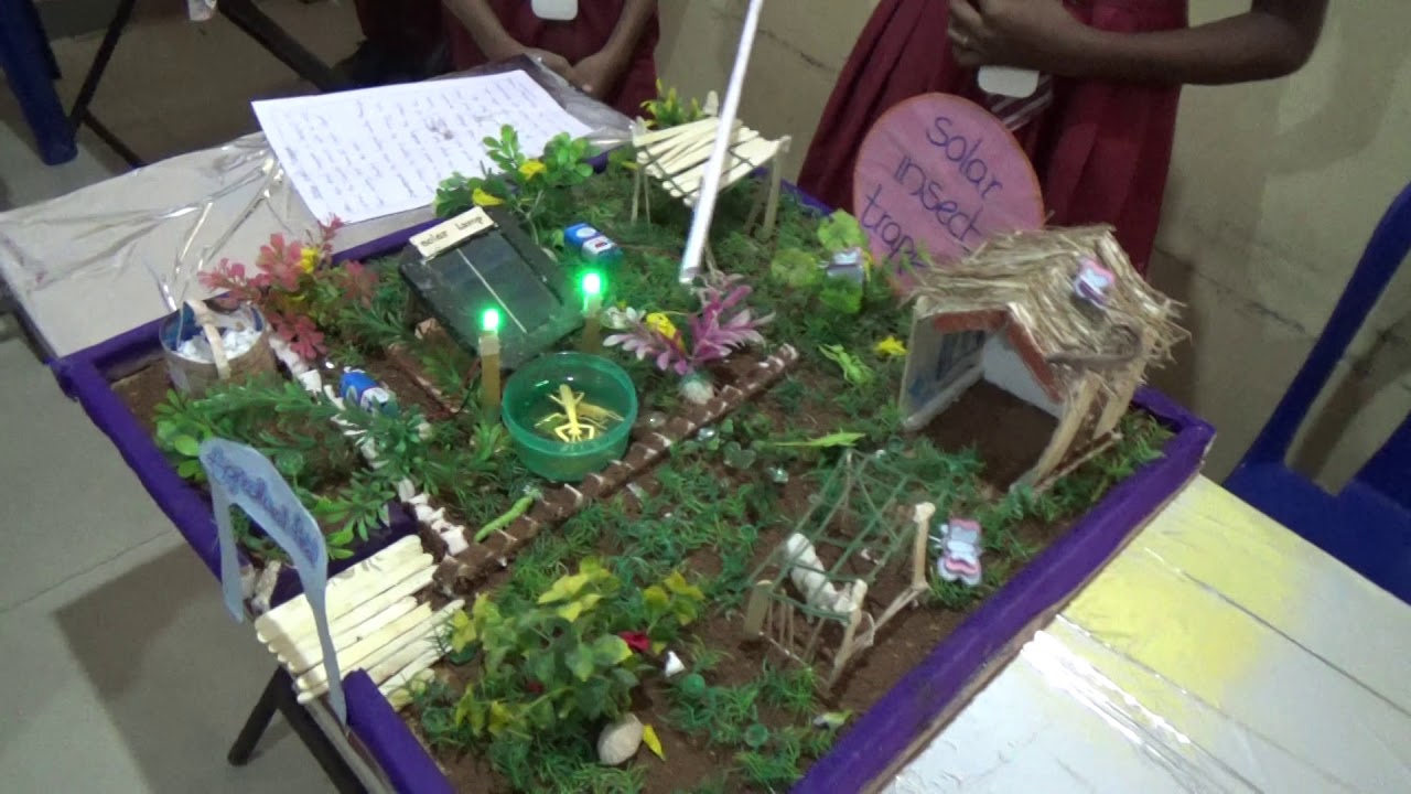 Solar Insect Trapper Uses || Science Exhibition ||