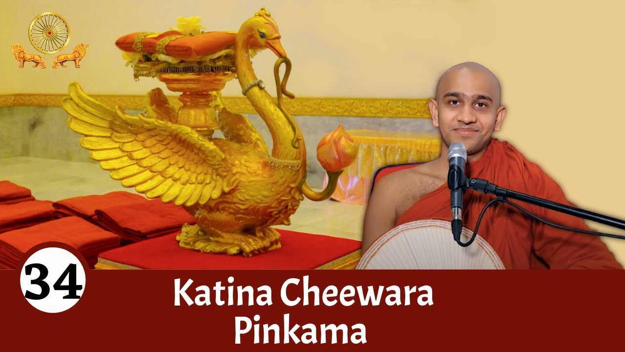 Katina Cheewara Poojawa | Mirror of the Dhamma for Kids | Episode 34