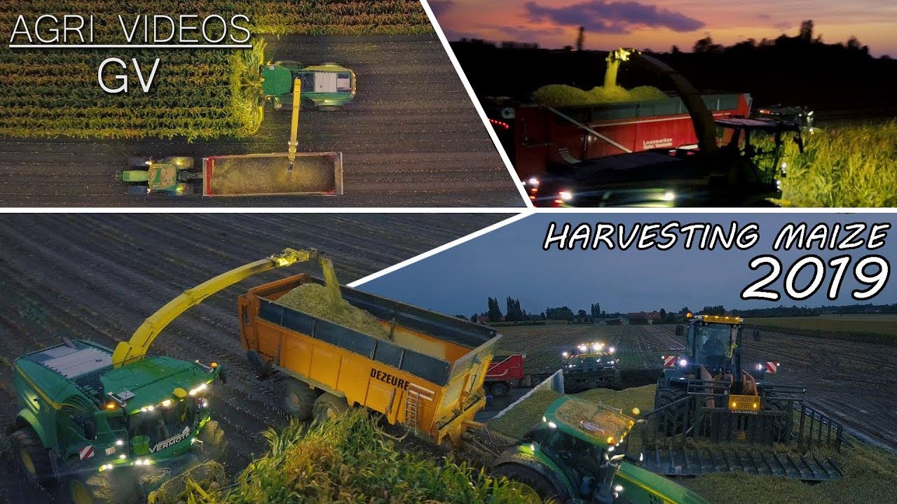John Deere 8700i - Maize Harvest 2019 | JD 6215R | JD 6230R | JD 6195R | Case 821G XR (2x) | 4K