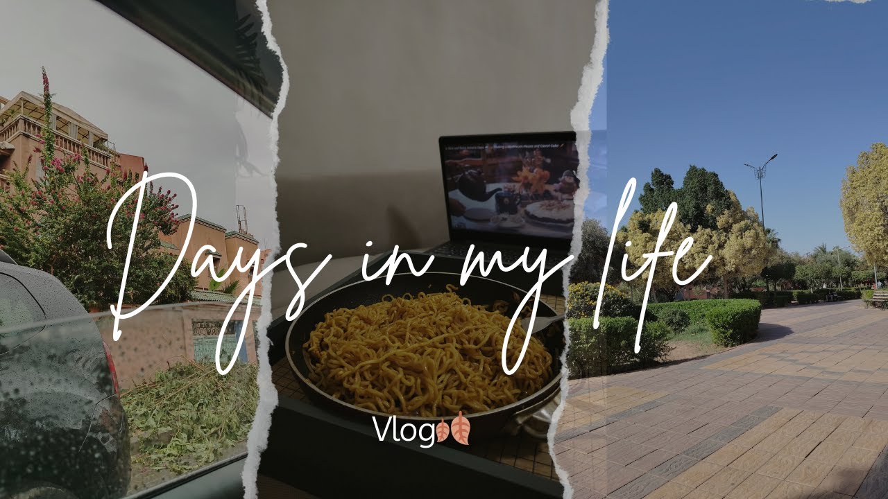 Last days in November🍂🍁🧸✨||studying, going out, cooking... ||