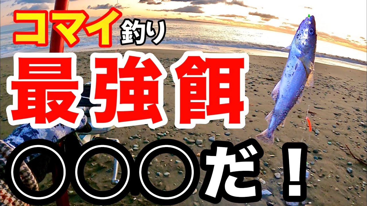 【北海道】【釣り】コマイの聖地で『最強餌』を教えて頂きました‼　#コマイ釣り#氷下魚釣り#カンカイ#カジカ