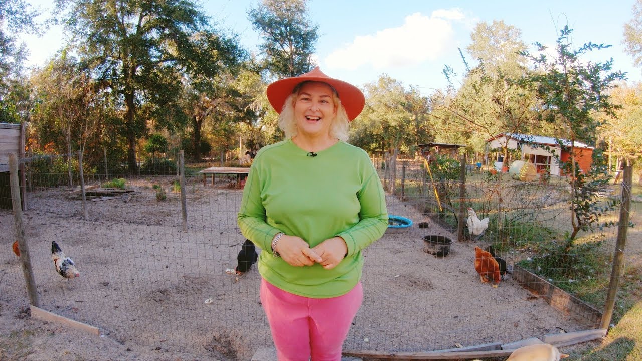 Prepping My Animals To Go On Vacation