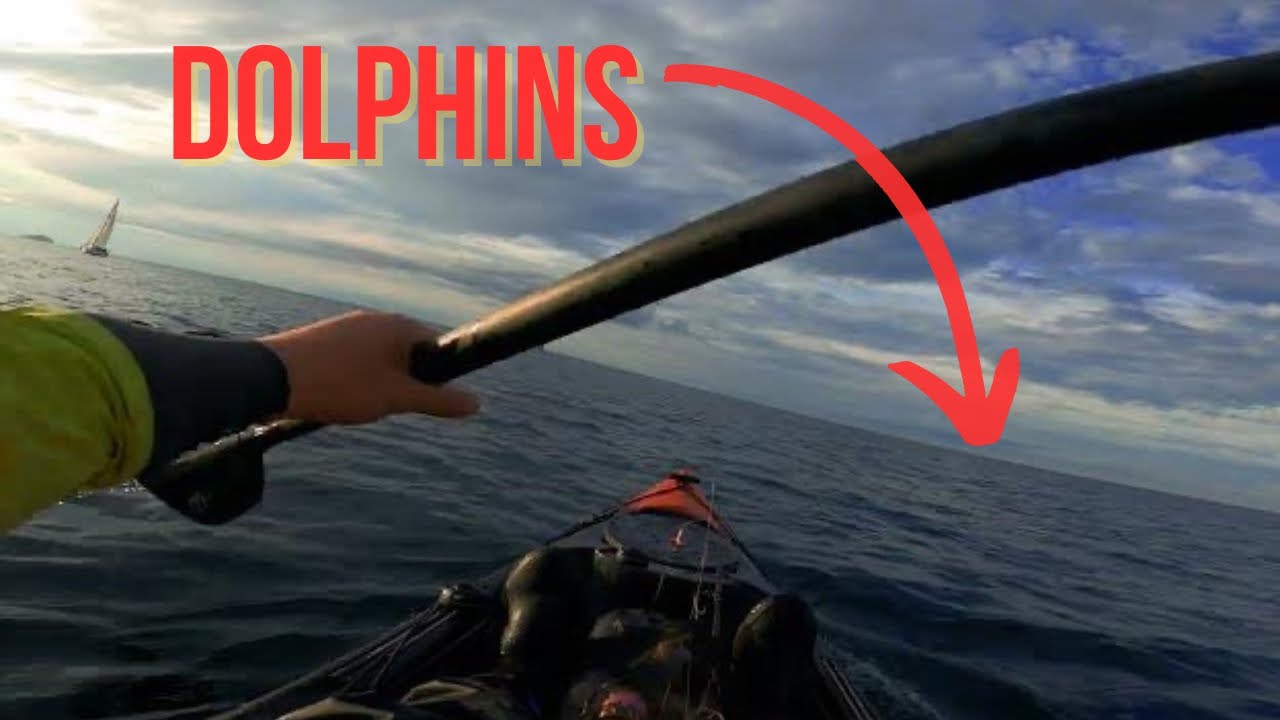 Kayak Fishing Catching Mackerel AND Watching Dolphins
