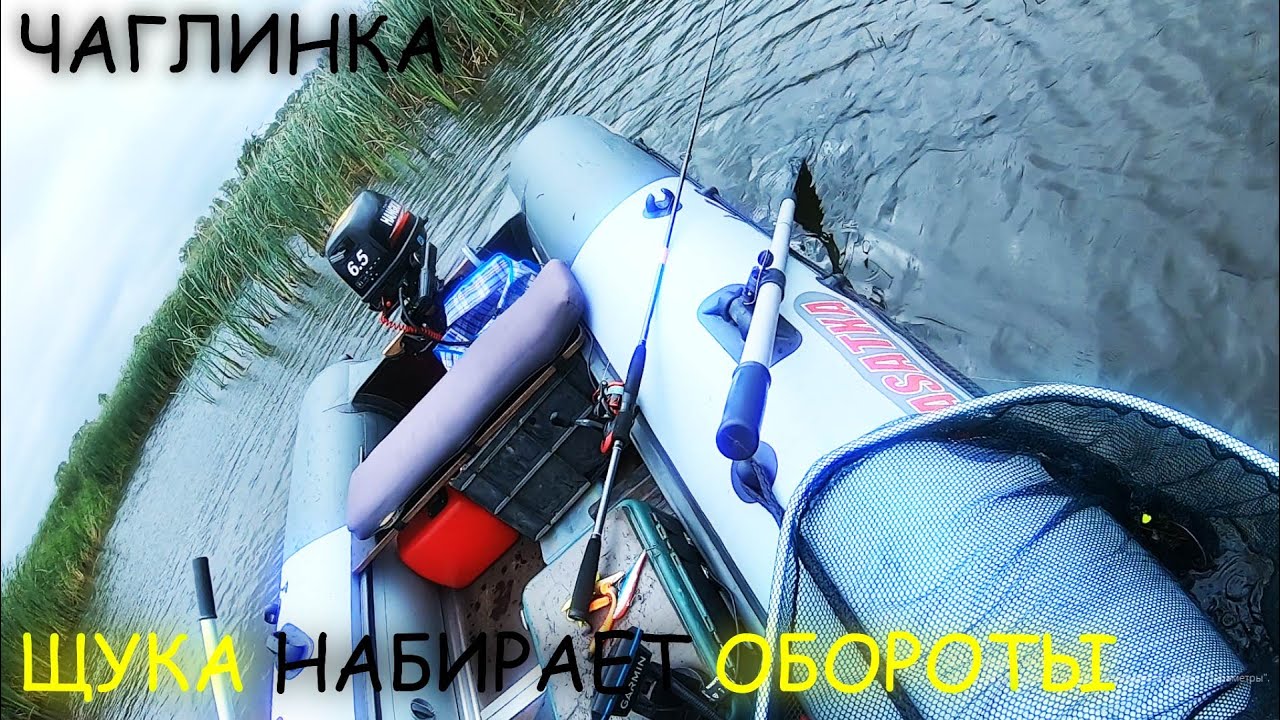 ЩУКА И ЯЗЬ ПОРАДОВАЛИ - ЧАГЛИНСКОЕ ВОДОХРАНИЛИЩЕ
