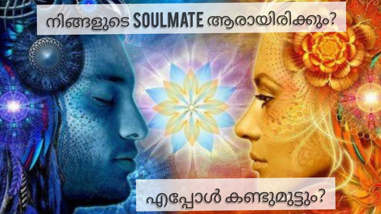 നിങ്ങളുടെ soulmate നെ ഒന്ന് പരിചയപ്പെടാം 😘😘||  മലയാളം Tarot card reading || ❤️❤️