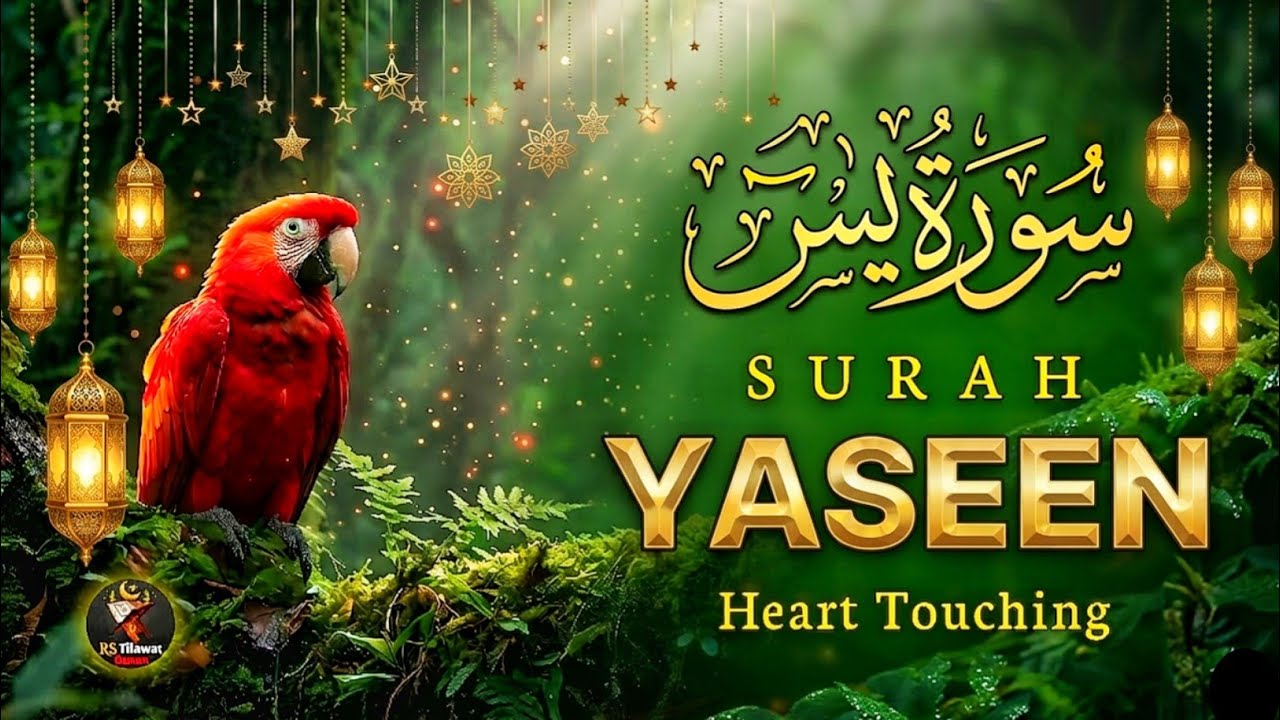 Peaceful Quran Recitation of Surah Yasin (Yaseen) سورة يس | SOFT VOICE | RS Tilawat Quran