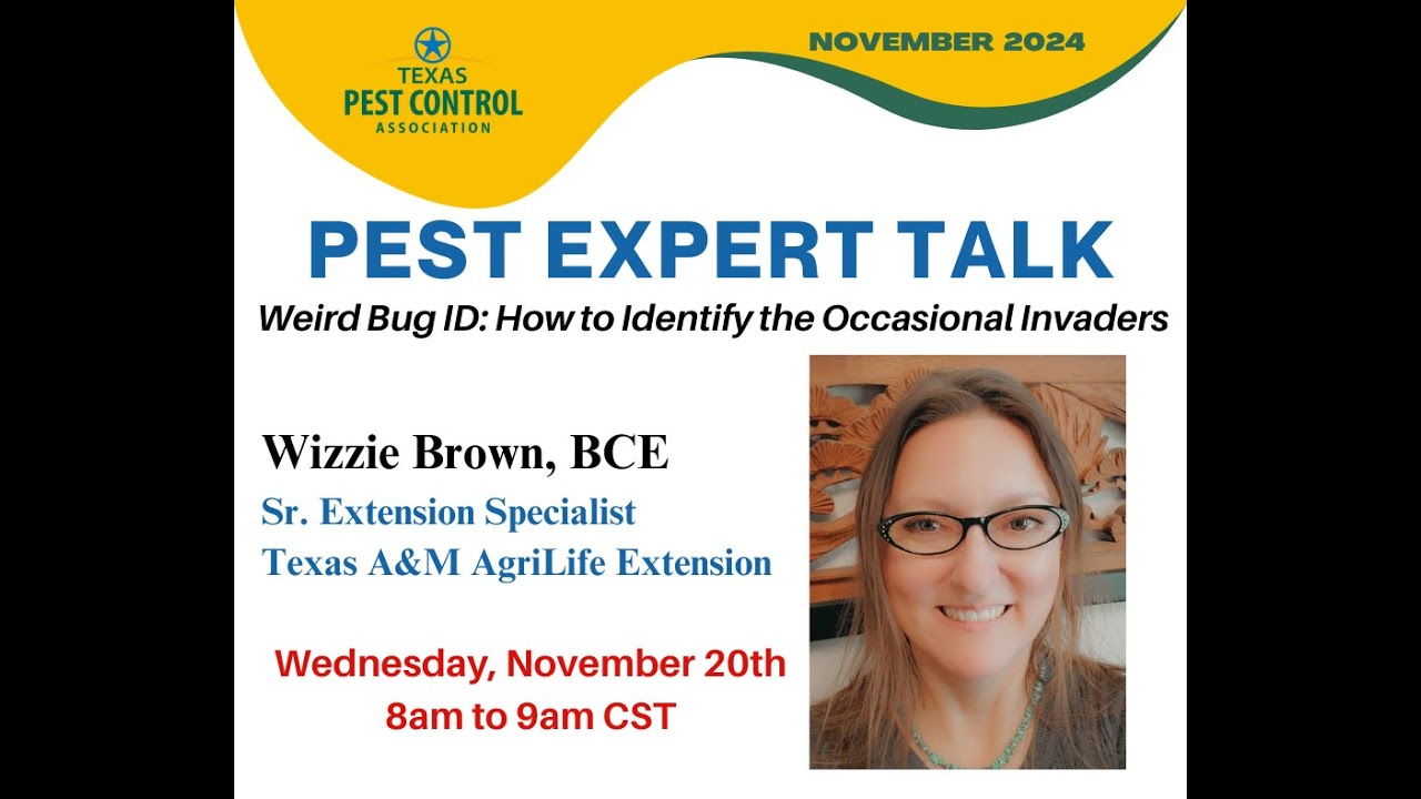 Pest Expert Nov 24' | Wizzie Brown