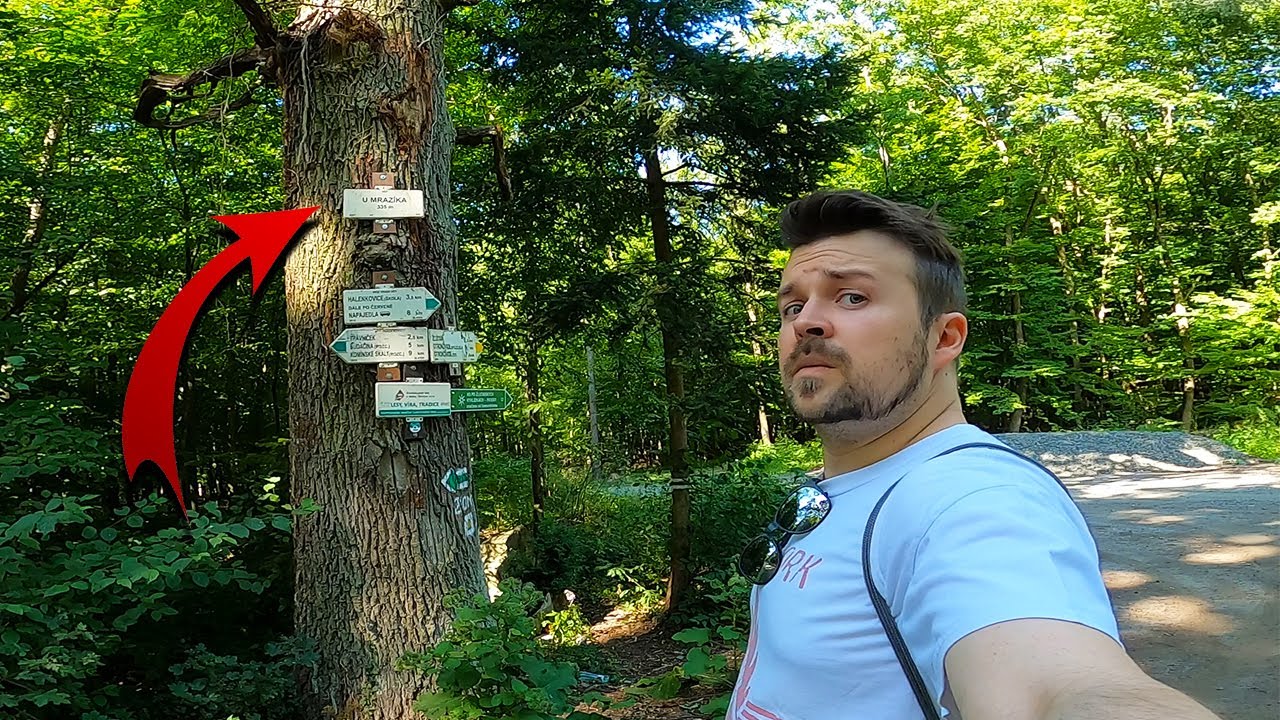 This Czech forest holds a HORRIFYING secret 💀🌲