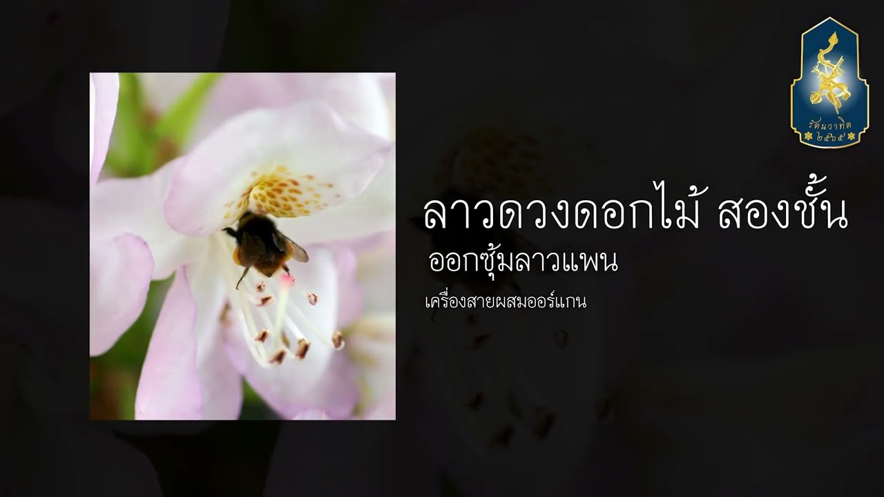 เพลงลาวดวงดอกไม้ สองชั้น ออกซุ้มลาวแพน ; วงเครื่องสายผสมออร์แกน (รัตนวาทิต)