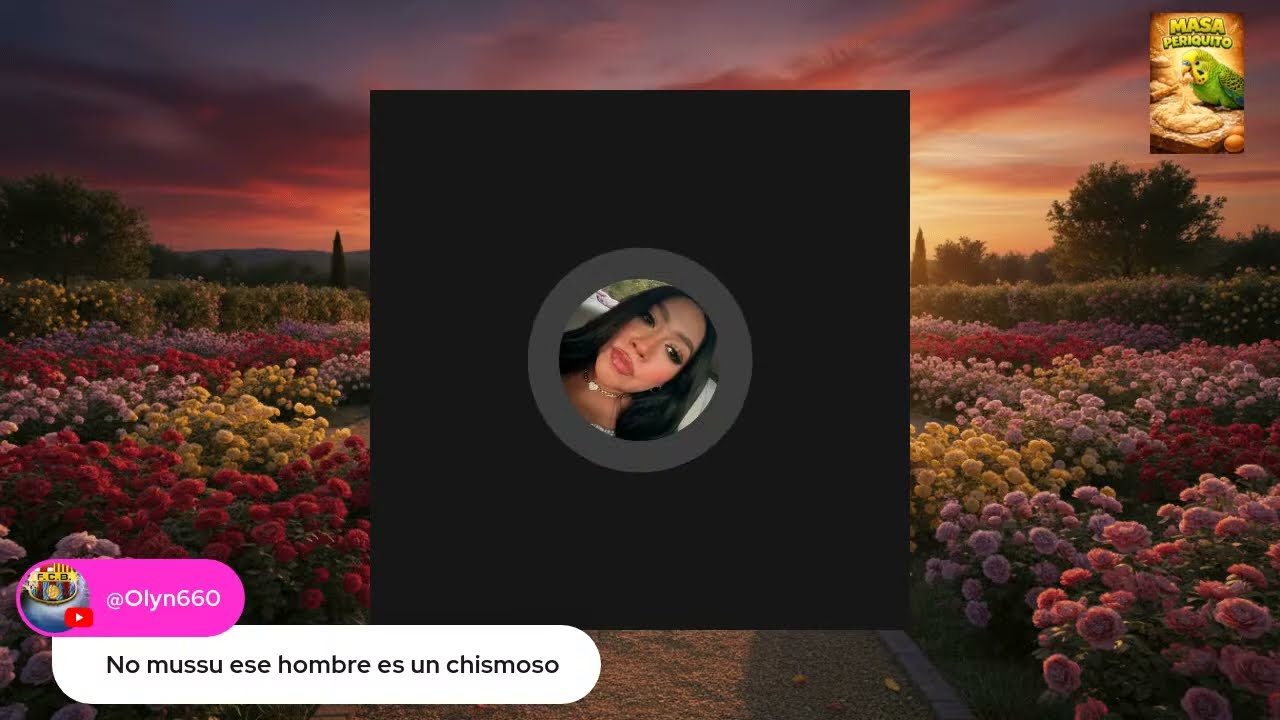 Un elefante no puede ver un ratón 🤣