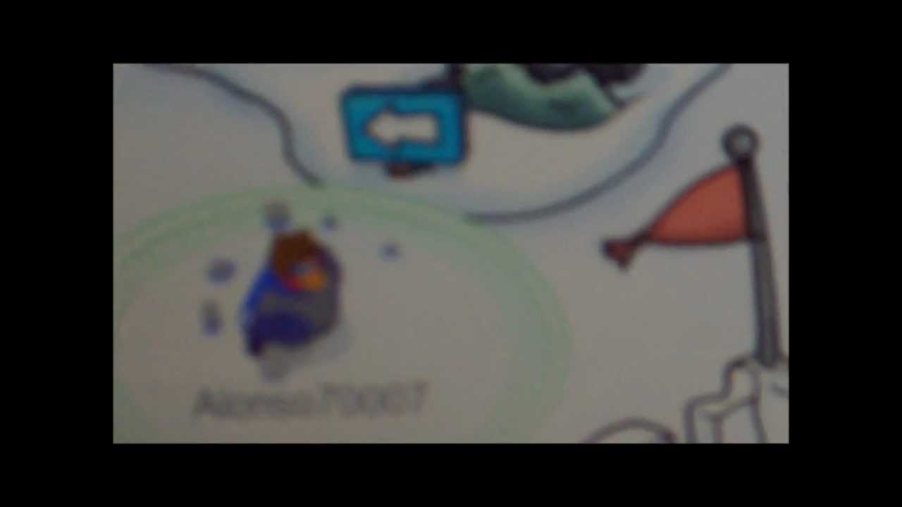 la busqueda del pinguino gris cpenguin star