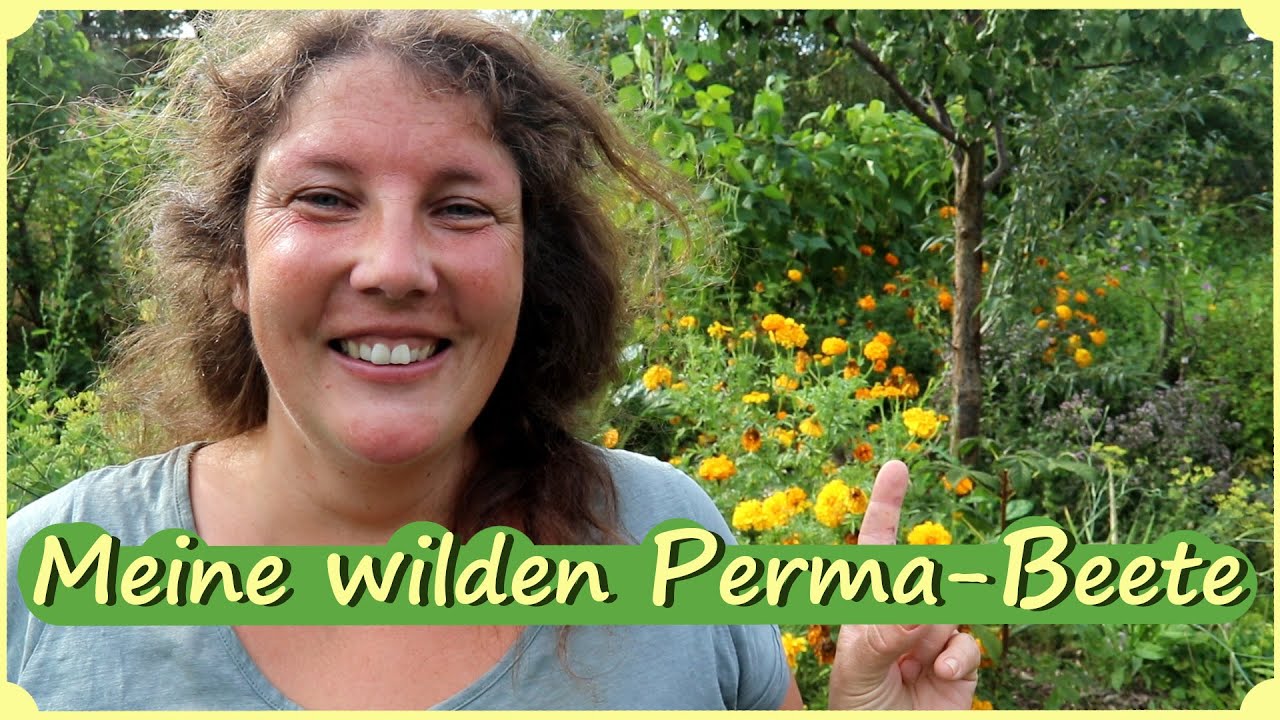 Gartenrundgang September Permakultur Beete für Gemüse mit Rückblick
